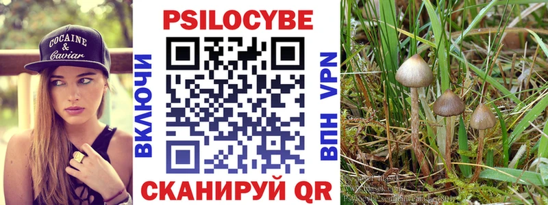 Купить закладки  Чудово  Галлюциногенные грибы MAGIC MUSHROOMS 